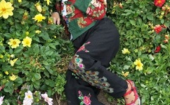 一夜强开二女处苞的最新版本